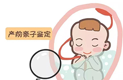 在山西怀孕期间需要怎么办理孕期亲子鉴定，山西办理孕期亲子鉴定准确可靠吗